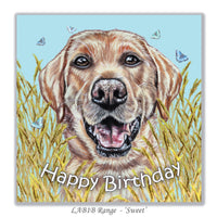 card from yellow labrador