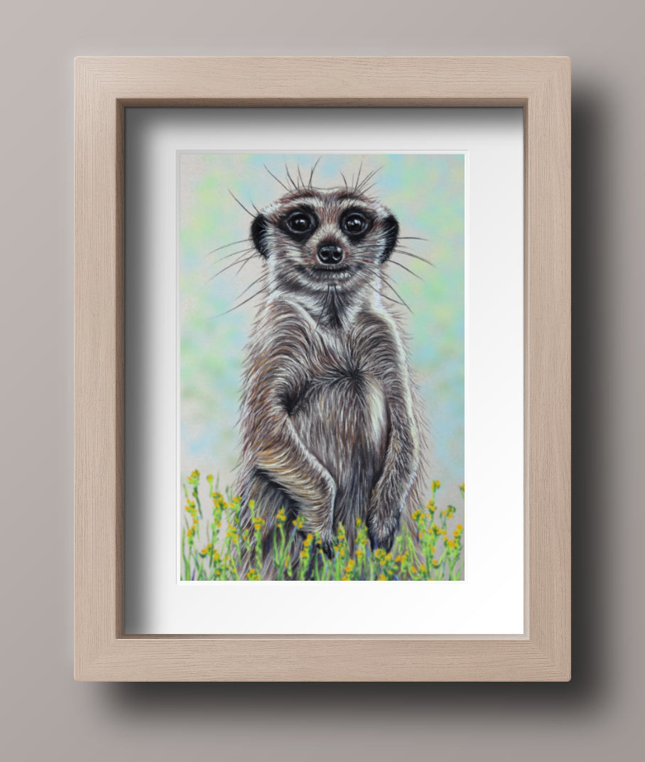 cute meerkat print
