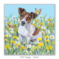 greeting card with Jack Russell Terrier