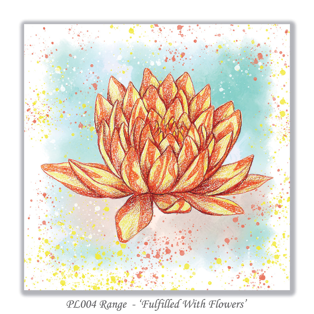 water lily card