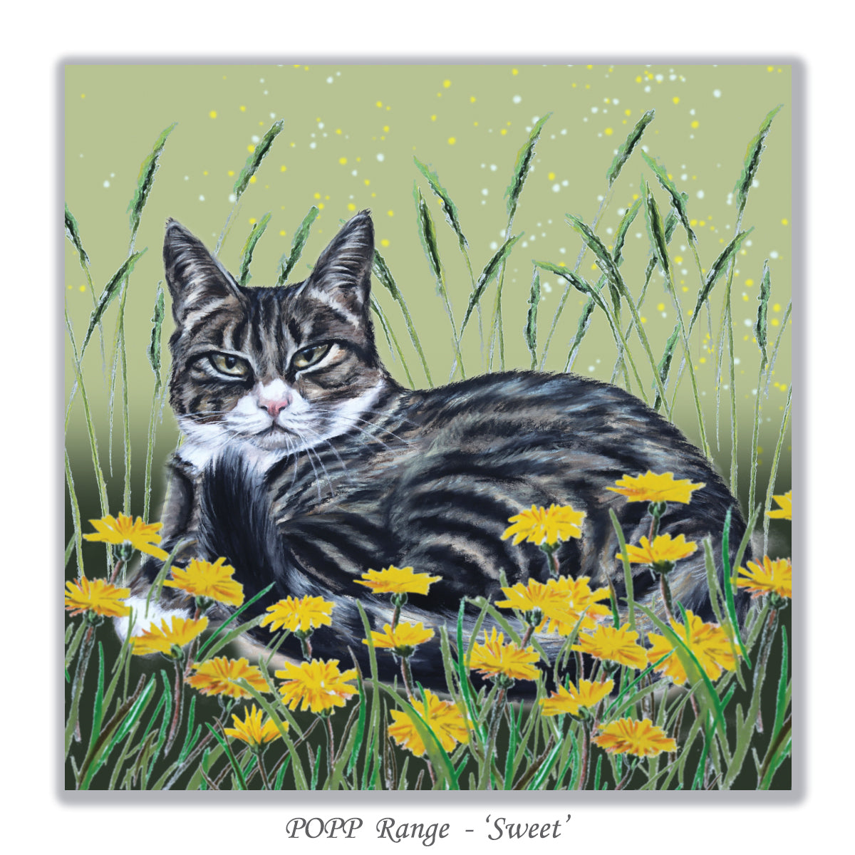 greeting card with cat