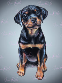 cute puppy downloadable image