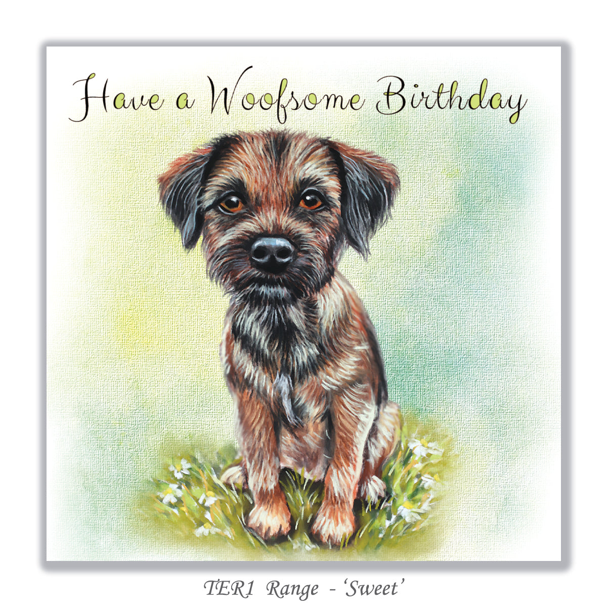 Border Terrier Birthday Card