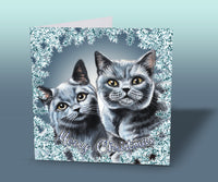 british shorthair cats christmas card