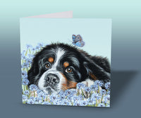 bernese mountain dog greeting card