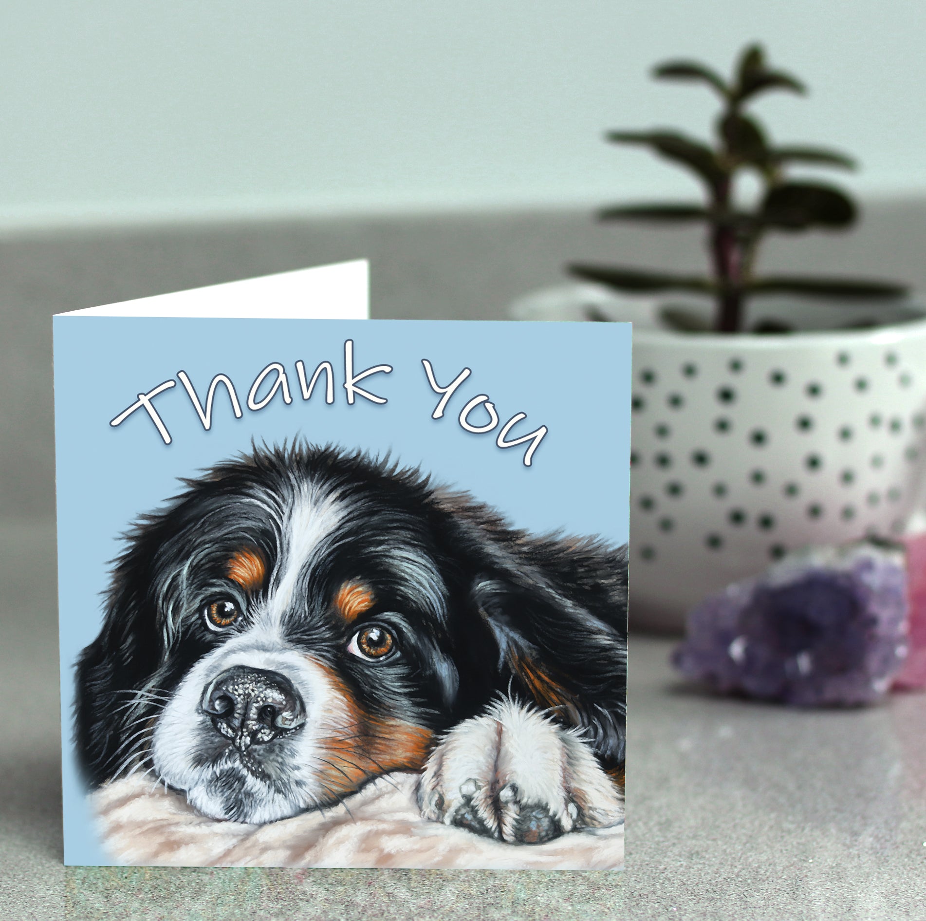 thank you cards Bernese Mountain Dog