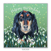birthday card sausage dog