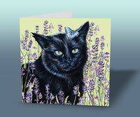 greeting card black cat