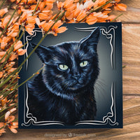 witch craft black cat