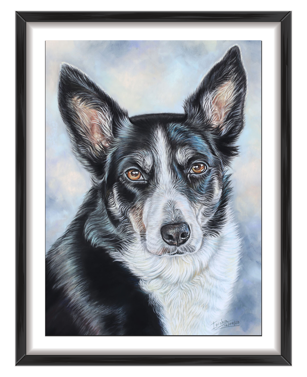 dog portrait commission