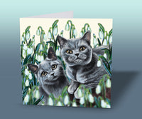 british blue cat cards