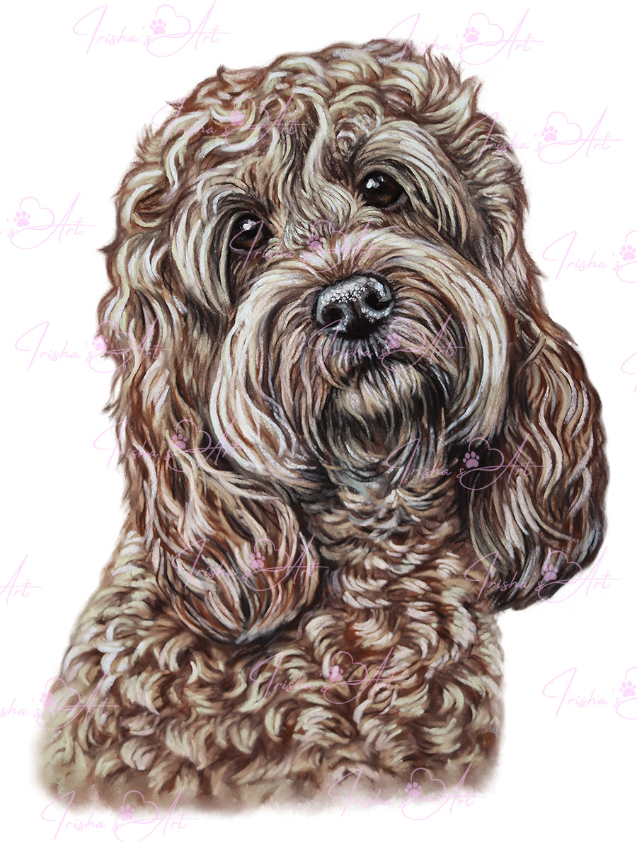 cockapoo image to download
