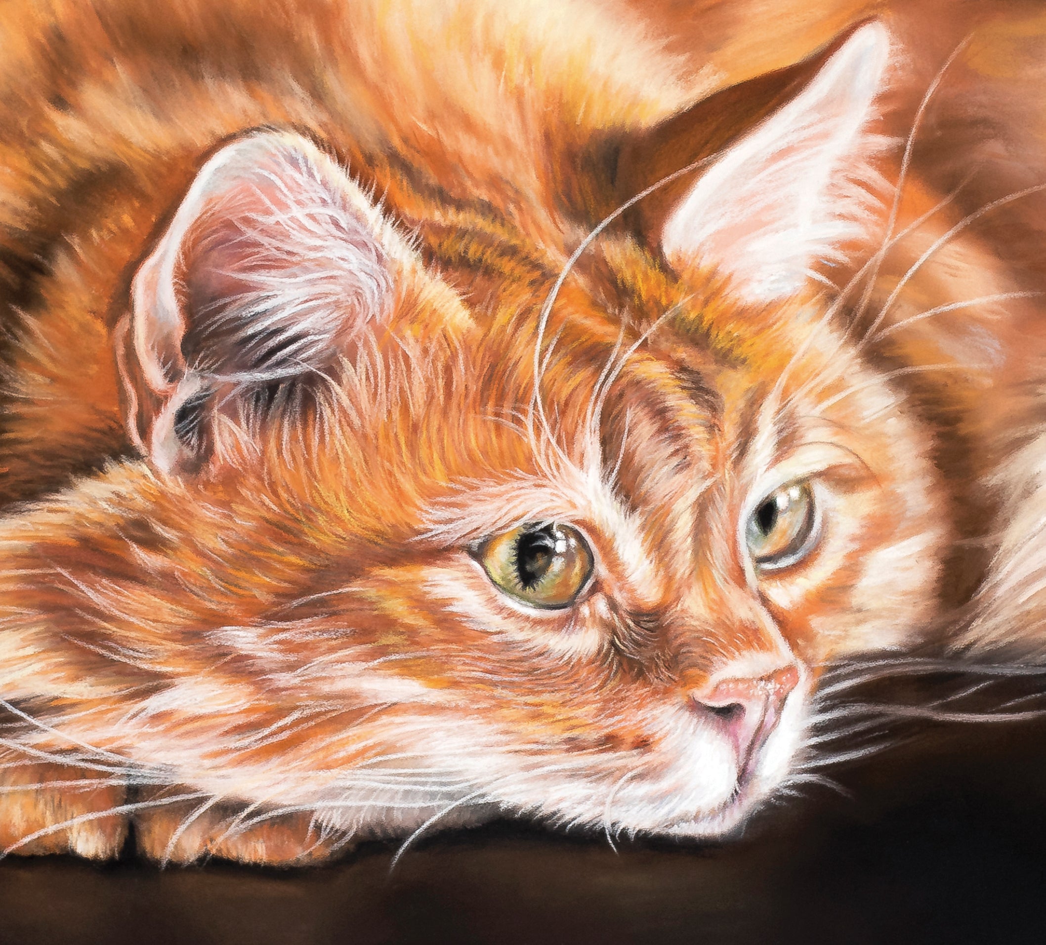 ginger cat art