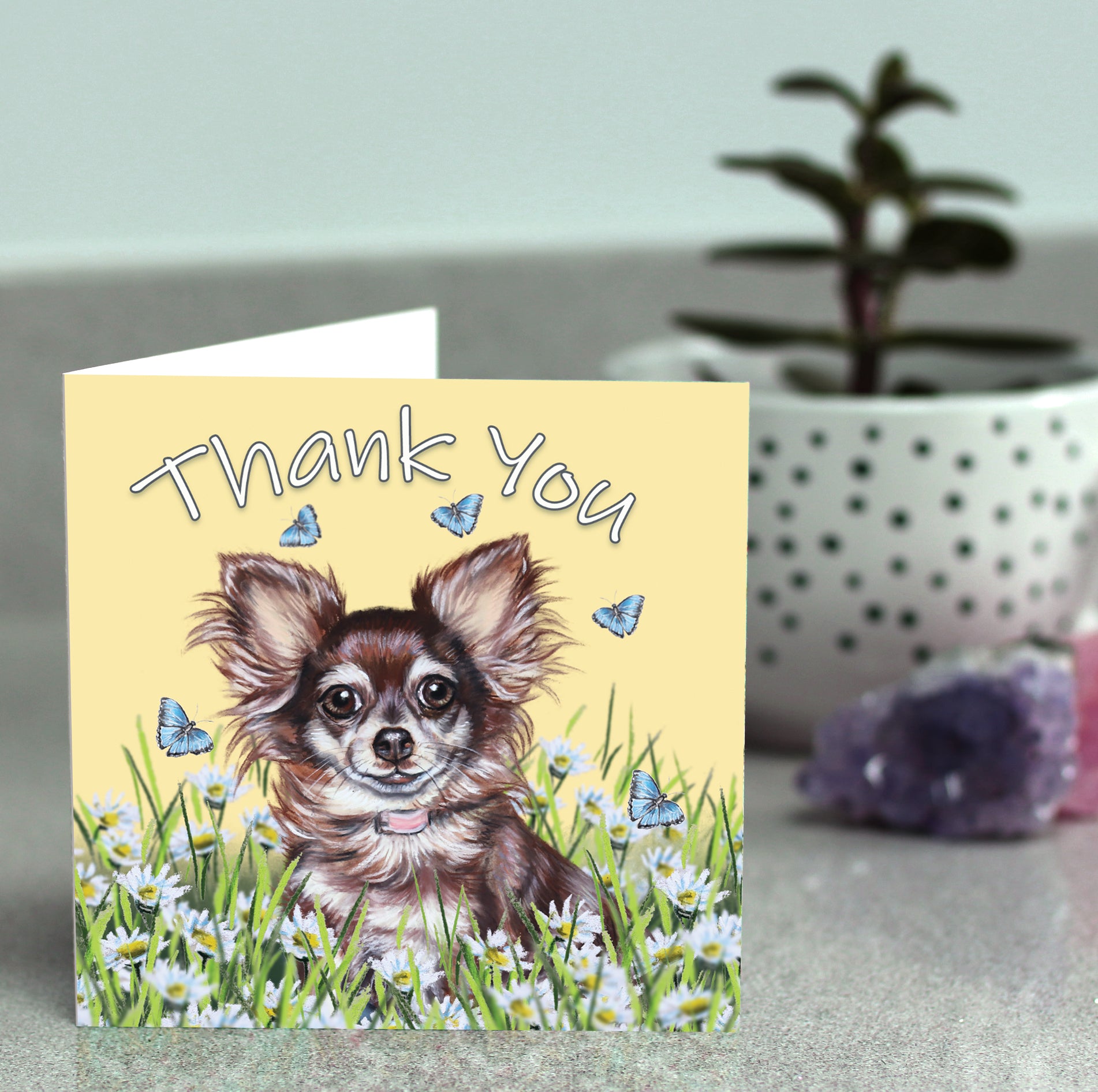Chihuahua card