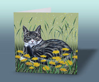 greeting card tabby cat