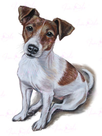 jack russell image to download