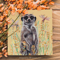 meerkat card