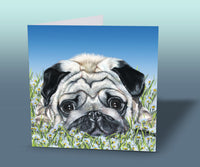 greeting card with pug