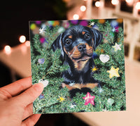 rottweiler christmas card