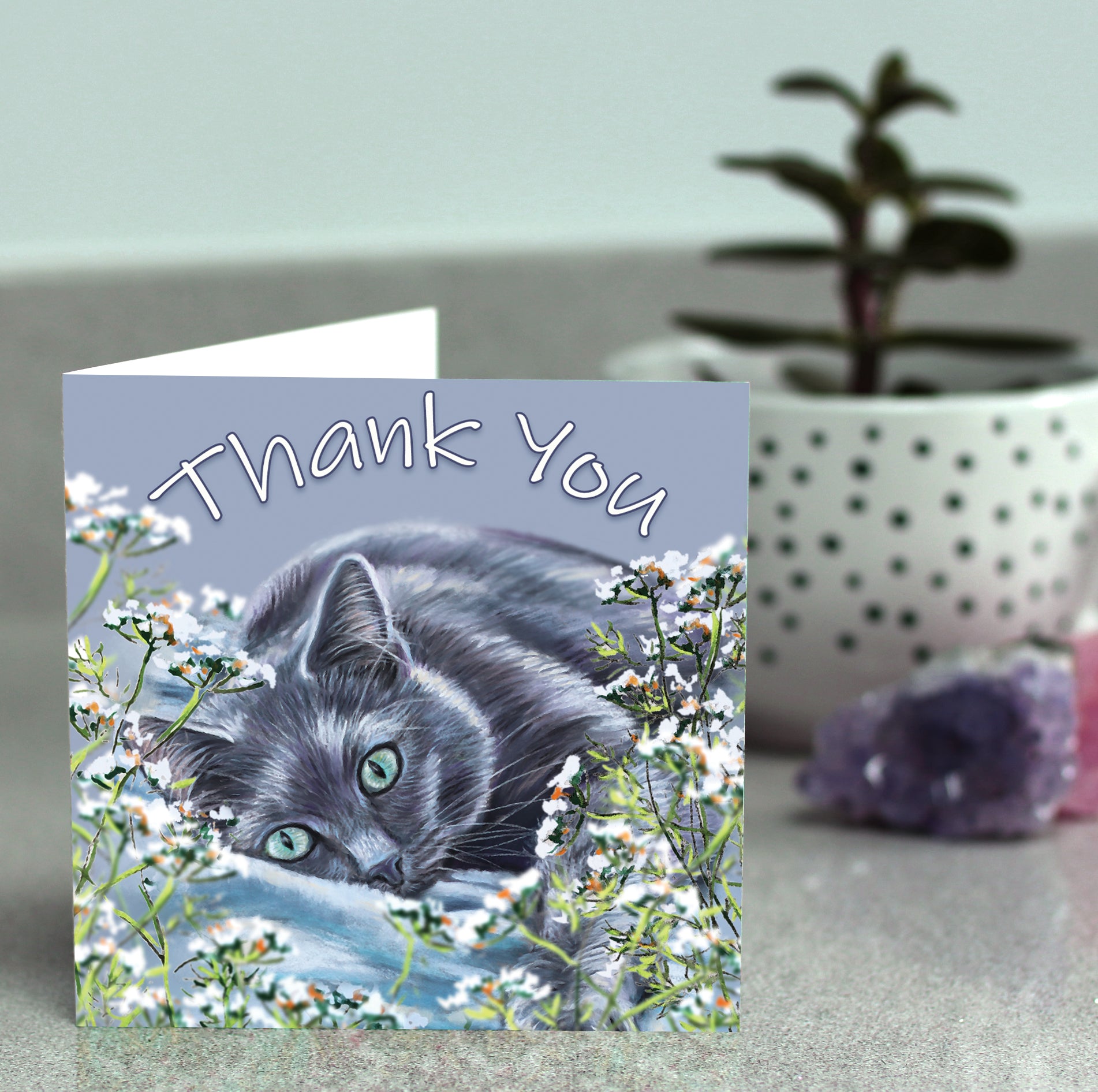 thank you card cat