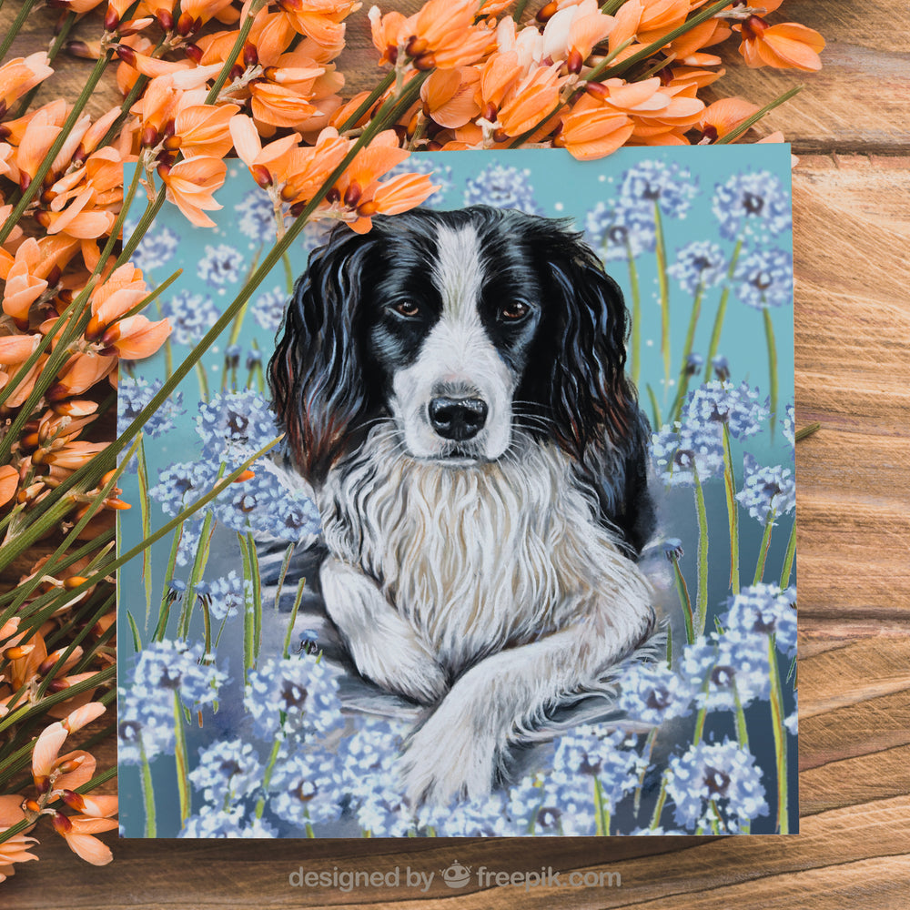 spaniel cards