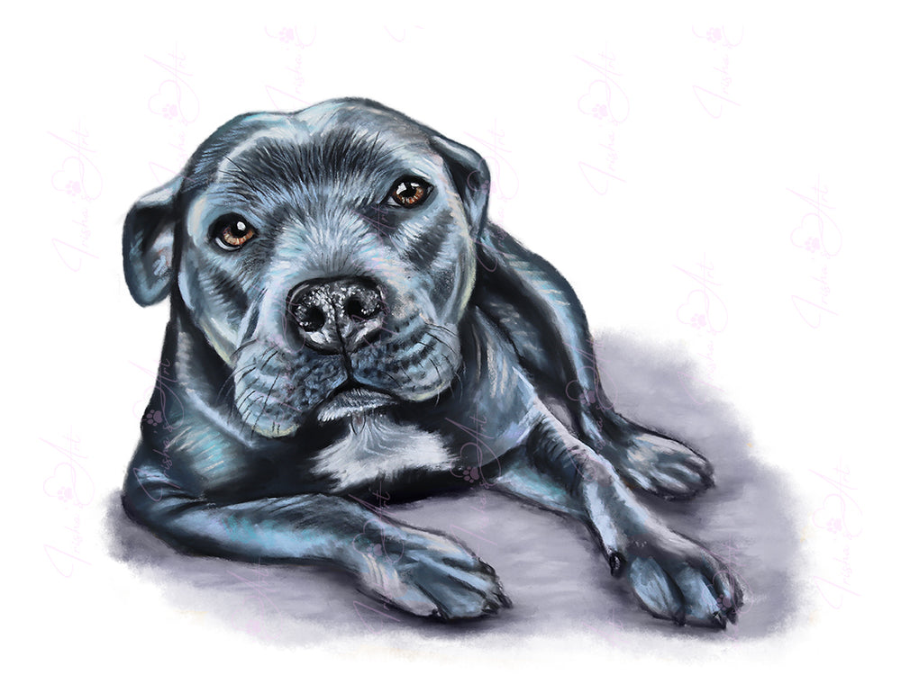 staffy clipart