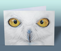 white owl card